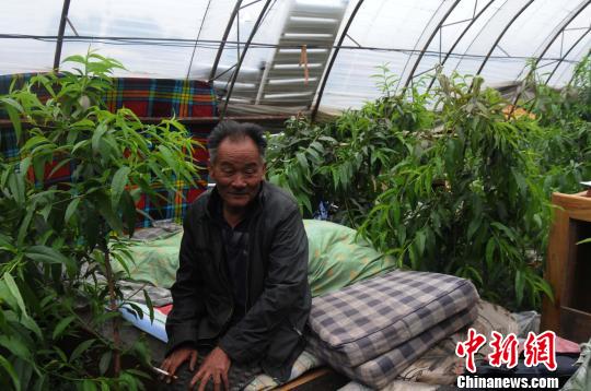 西寧警察處警被城管打傷槍險被搶 當?shù)卣{查(圖)