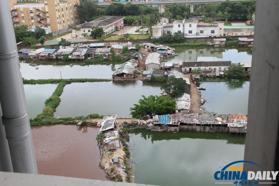 網(wǎng)曝海口上萬(wàn)斤“垃圾魚(yú)”流向市場(chǎng) 官方介入調(diào)查