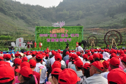 中方首屆刺葡萄節(jié)開(kāi)幕 游客比賽吃葡萄(圖)