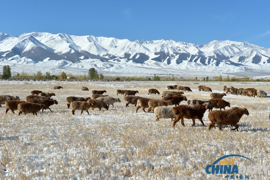 新疆哈密迎來(lái)降雪天氣 山區(qū)路段車(chē)輛擁堵滯留