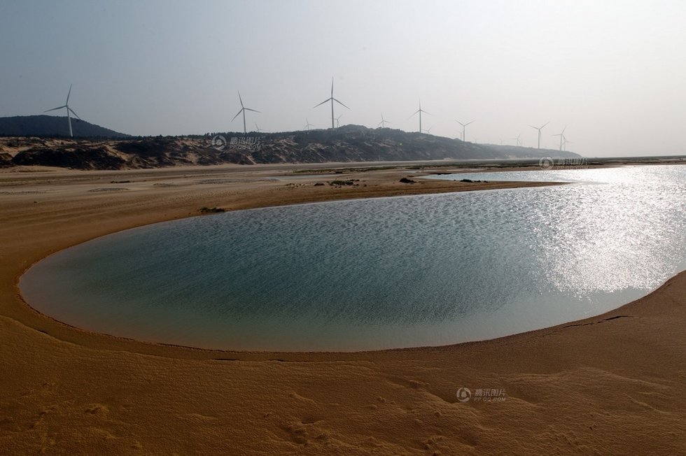 中國最大淡水湖提前枯水變成花海草原