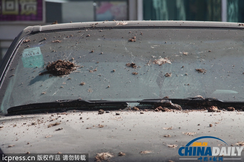 濟(jì)南地下管道爆炸掀翻路面 3人受傷