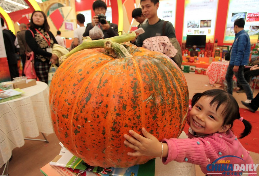 中國日報(bào)一周圖片精選：11月2日—8日