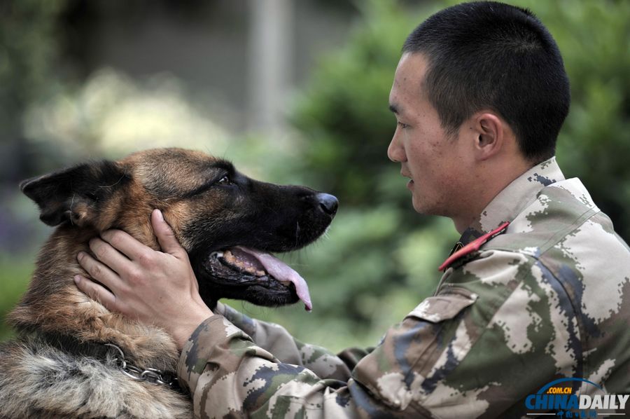 “戰(zhàn)友”的特殊告別：人犬分別的感人瞬間