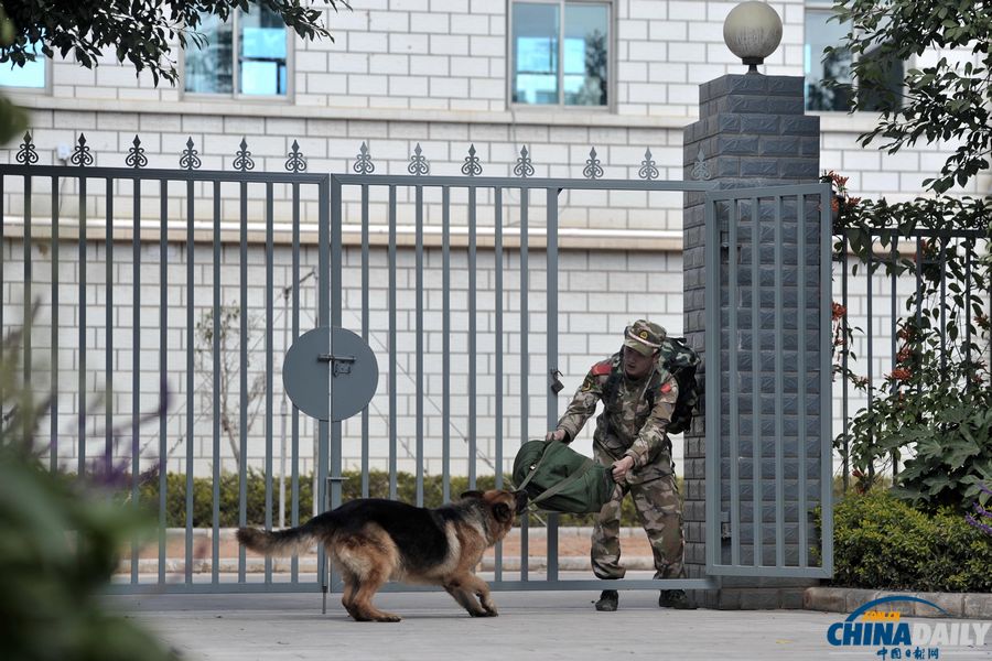 “戰(zhàn)友”的特殊告別：人犬分別的感人瞬間