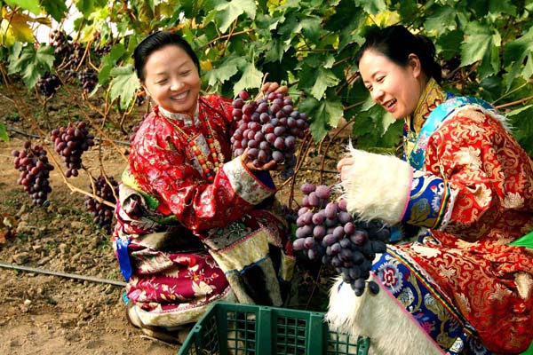 甘肅扶貧揚(yáng)帆起航助農(nóng)致富，放飛農(nóng)民小康夢(mèng)想