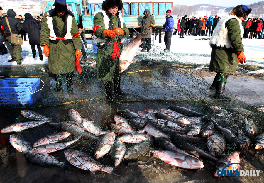 吉林長(zhǎng)春石頭口門(mén)水庫(kù)開(kāi)網(wǎng)捕魚(yú)