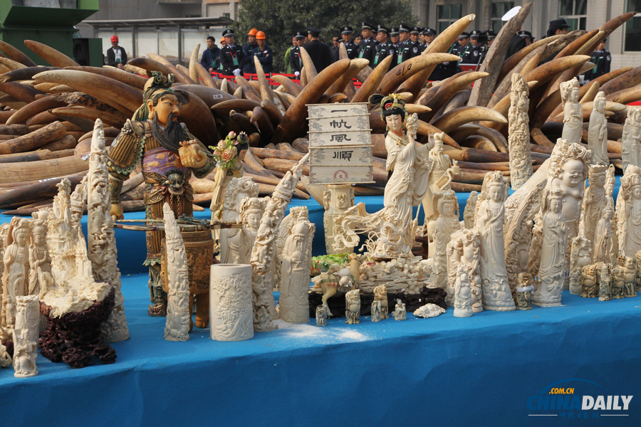 中國公開銷毀6.1噸執(zhí)法查沒象牙