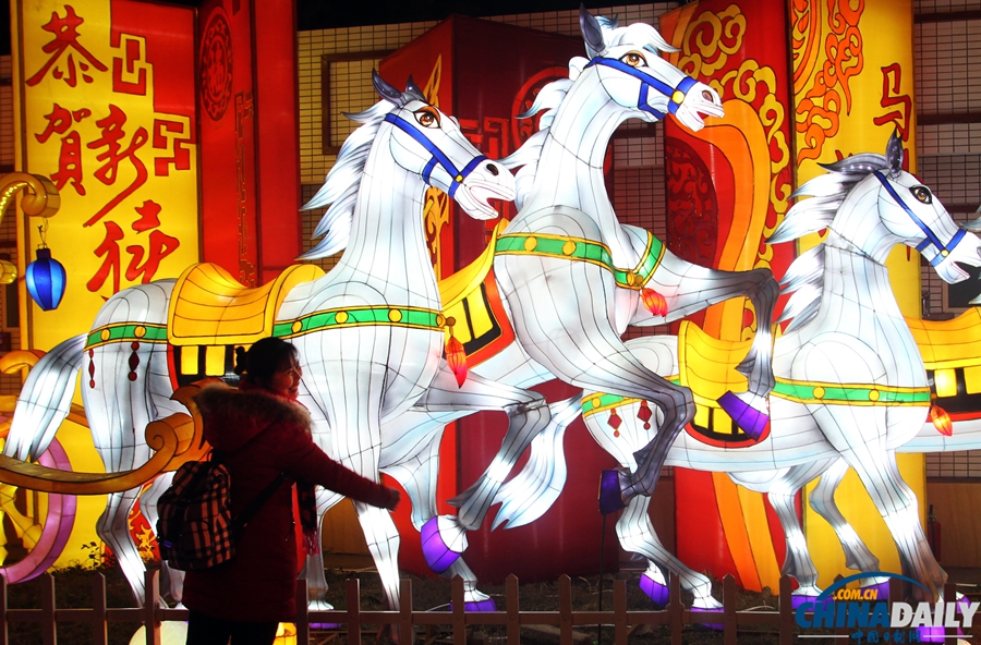 第20屆自貢國(guó)際恐龍燈會(huì)