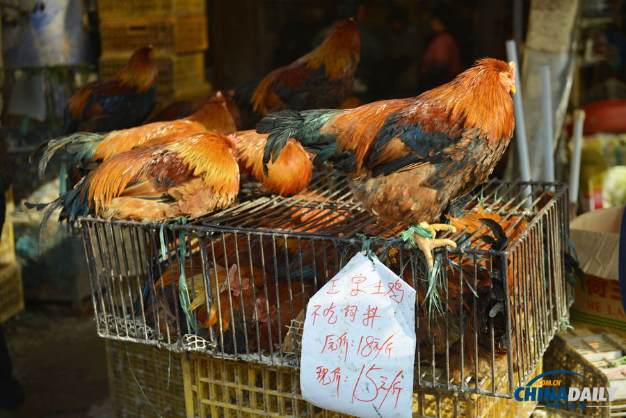 杭州主城區(qū)1月24日零時起暫?；钋萁灰? valign=