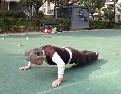 武漢一社區(qū)舉辦“萬家宴”場面壯觀