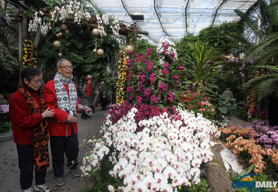 北京植物園邀金婚老人過情人節(jié) 甜蜜“曬證”