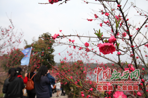 全國網(wǎng)絡(luò)媒體江西游首日 記者邂逅武寧“美女”