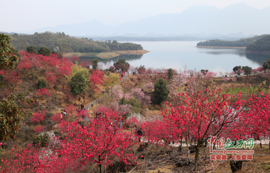 “第六屆全國(guó)網(wǎng)絡(luò)媒體江西游”采訪團(tuán)暢游桃花島