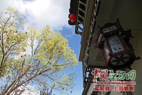 全國網(wǎng)媒記者探尋婺源嚴田千年古樟 觀看儺舞秀
