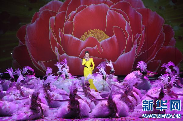 牡丹花開 共享國(guó)色 第31屆洛陽(yáng)牡丹文化節(jié)開幕