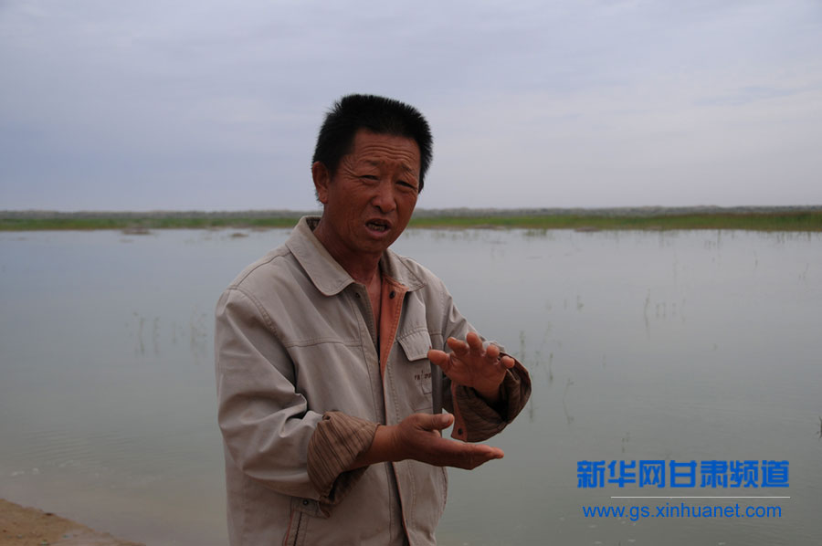 干涸半個(gè)世紀(jì)的甘肅民勤青土湖重現(xiàn)碧波