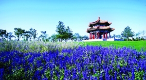 北京最大濕地公園開(kāi)門迎客 此前曾是垃圾場(chǎng)