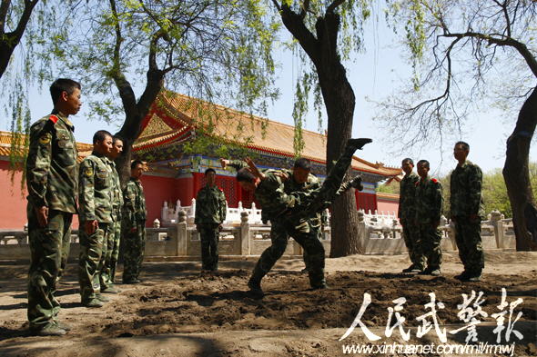 獨家揭秘:守護(hù)國寶的紫禁城