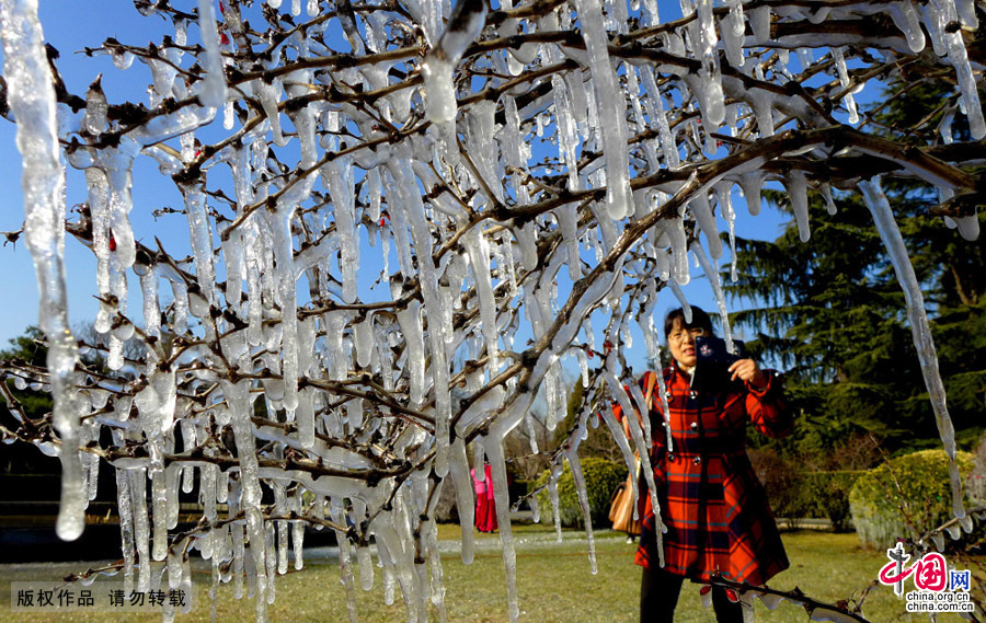 北京石景山一公園現(xiàn)罕見“冰世界”景觀