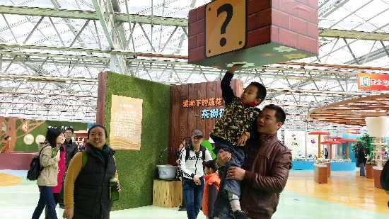 第二屆北京農(nóng)業(yè)嘉年華開(kāi)幕