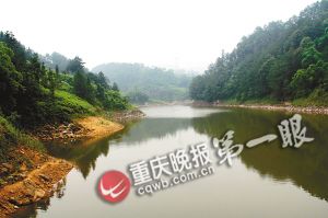 重慶綦江發(fā)現(xiàn)“史前巨型蚯蚓” 像蛇一樣長(zhǎng)