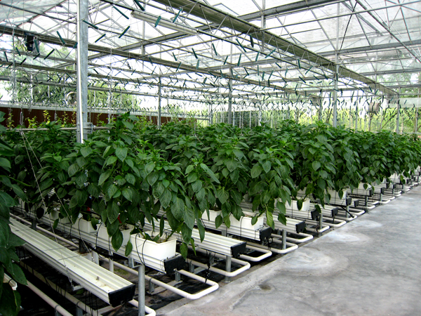專家警示：重慶每日浪費溫泉資源已達(dá)數(shù)萬噸