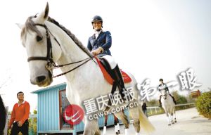 重慶馬術(shù)隊(duì)將落戶巴濱路馬術(shù)中心 可免費(fèi)看千萬元純種馬表演