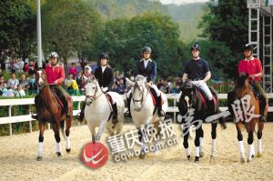 重慶馬術(shù)隊(duì)將落戶巴濱路馬術(shù)中心 可免費(fèi)看千萬元純種馬表演