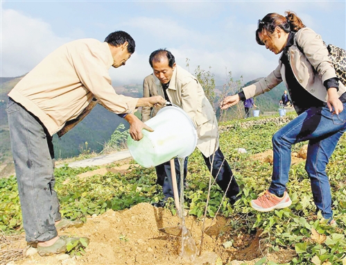 綠化長(zhǎng)江 建設(shè)生態(tài)重慶 重慶開展秋季植樹活動(dòng)