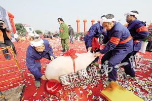 新年將至 活土豬一頭跌了幾百元 今年你去殺年豬嗎？