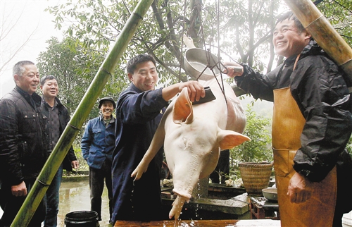 年豬“點殺”嫁接鄉(xiāng)村旅游