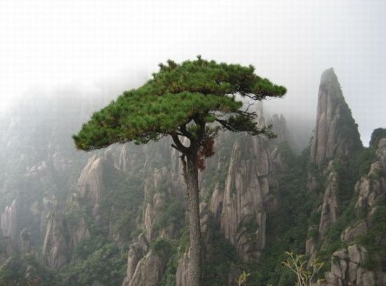 感受自然好去處 盤點省內(nèi)最誘人的天然氧吧