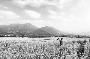 今年6個旅游同城化項目穩(wěn)步推進(jìn) 一張卡游遍廈漳泉