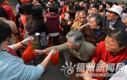 福州首次大規(guī)模免費贈花苗 市民2小時領走7萬株