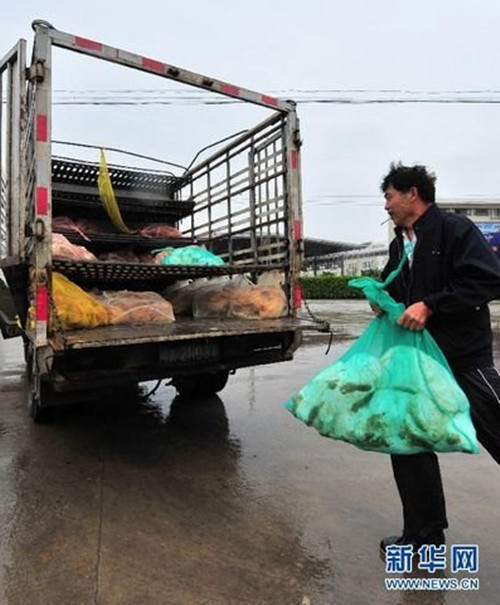 防控H7N9 福州海峽家禽批發(fā)市場(chǎng)緊急關(guān)閉