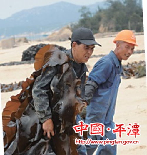 海帶收割：“十八般武藝”各顯神通