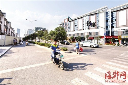 福州市區(qū)遮蔭大樹被移走 部門稱樹少是為透街景