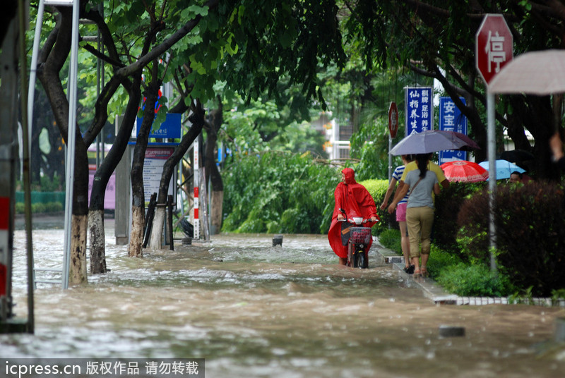 臺(tái)風(fēng)西馬侖登陸 廈門(mén)一夜間變澤國(guó)