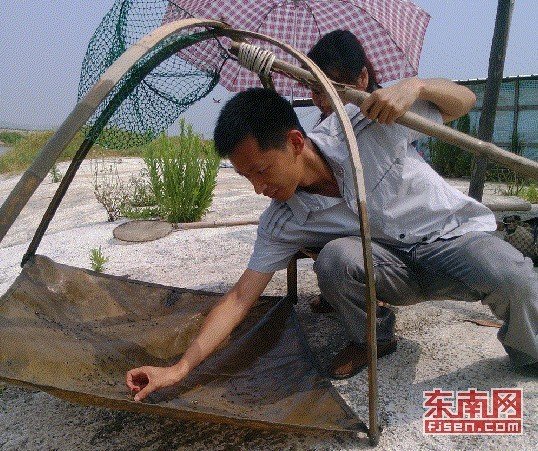 廈大研究生放棄20萬年薪 到農(nóng)村當(dāng)村官