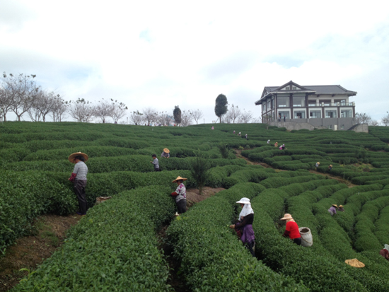 漳平臺(tái)灣農(nóng)民創(chuàng)業(yè)園：臺(tái)緣山莊旅游綜合體啟動(dòng)