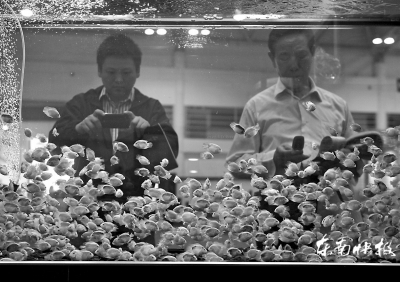 漁博會昨落幕簽約金額150多億元 逛展人數(shù)達30萬人次