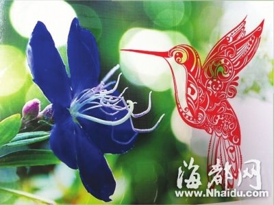 長(zhǎng)樂(lè)一80后小伙子剪紙技藝驚艷眾網(wǎng)友
