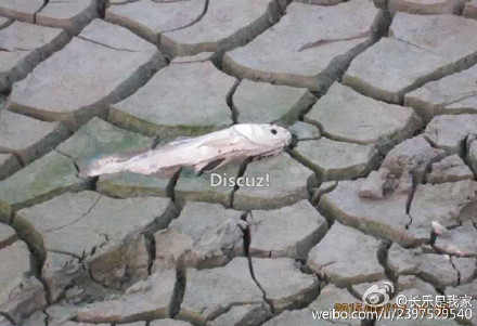 長樂三溪水庫水位創(chuàng)20年來新低 5萬多村民用水難