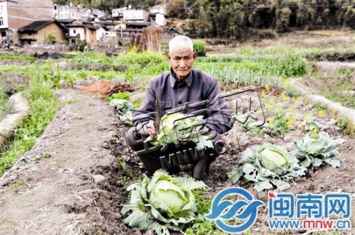 永春80歲老伯囚禁瘋兒20年 守著一畝三分地?fù)狃B(yǎng)