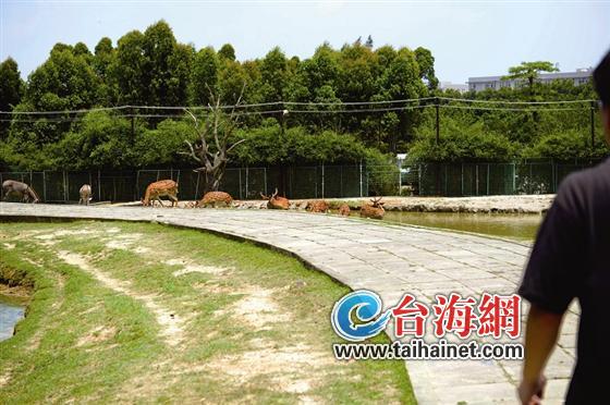欠租金滯納金上千萬元 海滄動物園被判半年內(nèi)搬遷