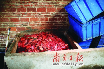 廣州死豬拌農(nóng)藥腌制臘肉曝光 記者目擊制作現(xiàn)場