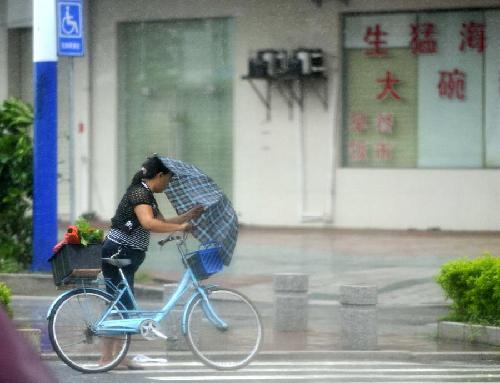 臺風“韋森特”登陸廣東臺山