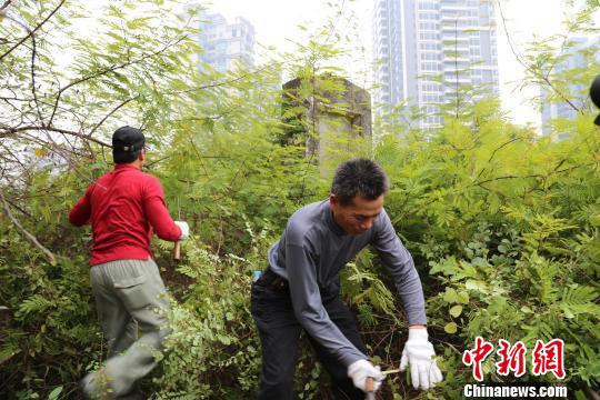 珠海三灶島定家灣襲日抗戰(zhàn)烈士長眠中山