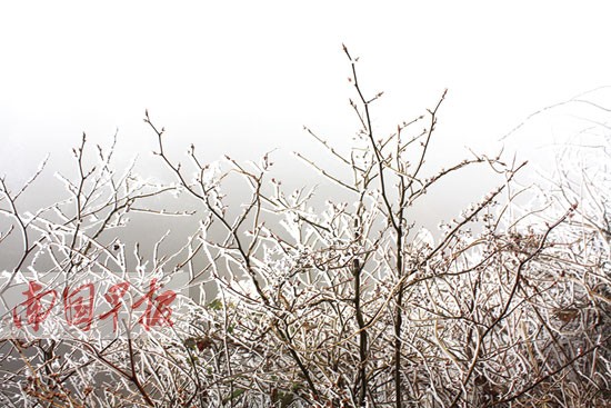2015年第一場冷空氣影響廣西 南寧局地降溫達(dá)9℃